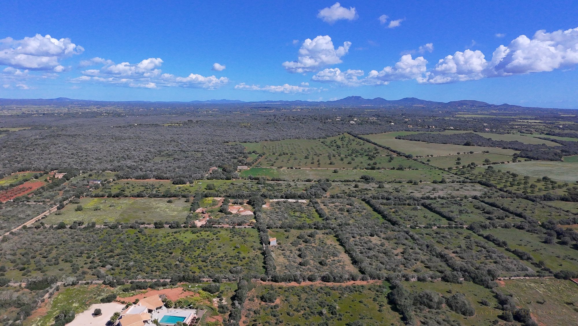 Die Landschaft von Ses Salines aus der Luft — Olivenhaine, Trockensteinmauern und weite Felder